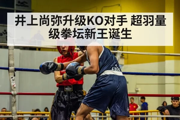 boxing match action